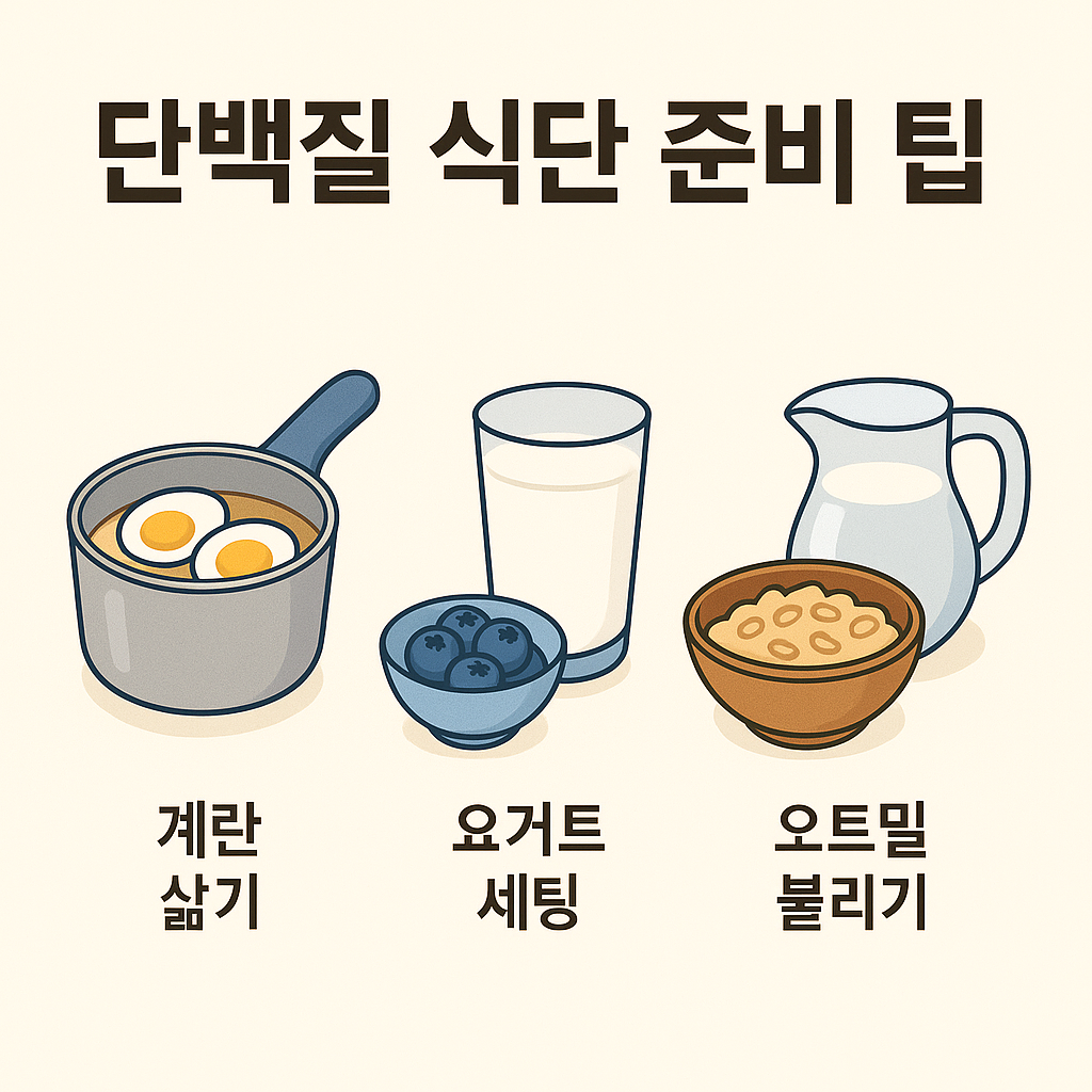 단백질 식단 준비 팁